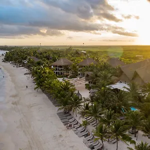 Mia Tulum Beachfront Resort - Ocean View Suites And Beach Club Hotel